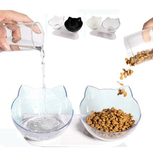 Pet Double Cat Bowl with Raised Stand | Comfortable & Mess-Free Feeding