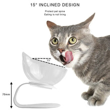 Pet Double Cat Bowl with Raised Stand | Comfortable & Mess-Free Feeding