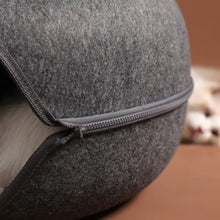 Donut Cat Tunnel | Cozy & Interactive Cat Play Tunnel