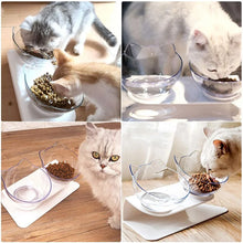 Pet Double Cat Bowl with Raised Stand | Comfortable & Mess-Free Feeding