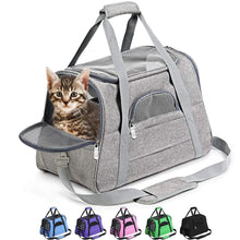 A gray pet carrier travel bag with mesh windows, shown with a small cat inside. The bag has a shoulder strap for carrying and is displayed in various color options below.