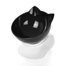 Pet Double Cat Bowl with Raised Stand | Comfortable & Mess-Free Feeding
